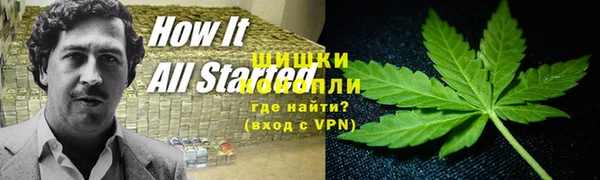 винт Алзамай