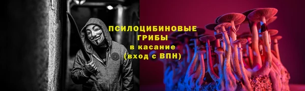 винт Алзамай