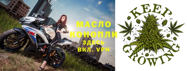 винт Алзамай