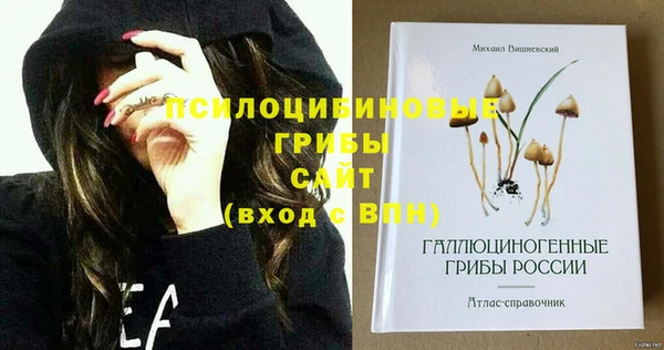 винт Алзамай