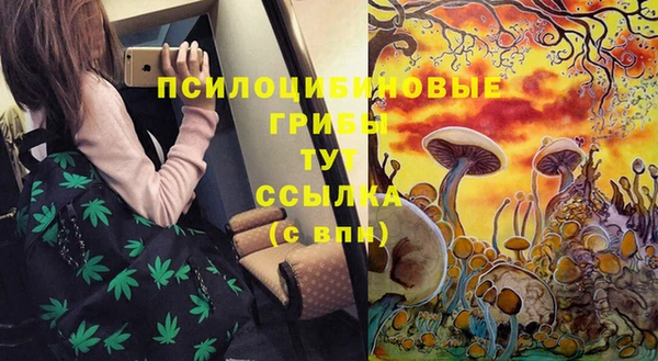 мет Алексеевка