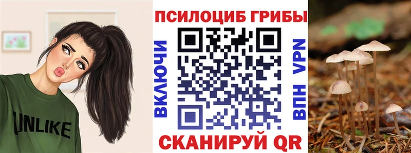 Псилоцибиновые грибы мухоморы  купить   Калтан 